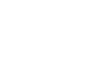 Espace Tao Dijon logo blanc